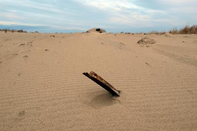 Прикрепленное изображение: PA167873_web.jpg